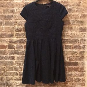 Cythia Steefe navy blue cotton dress with pockets and back zipper size 10
